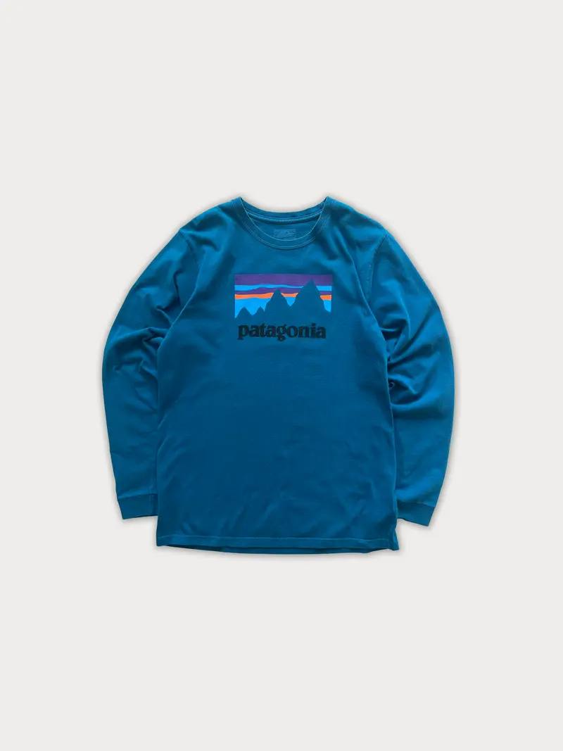 Patagonia Long Tee